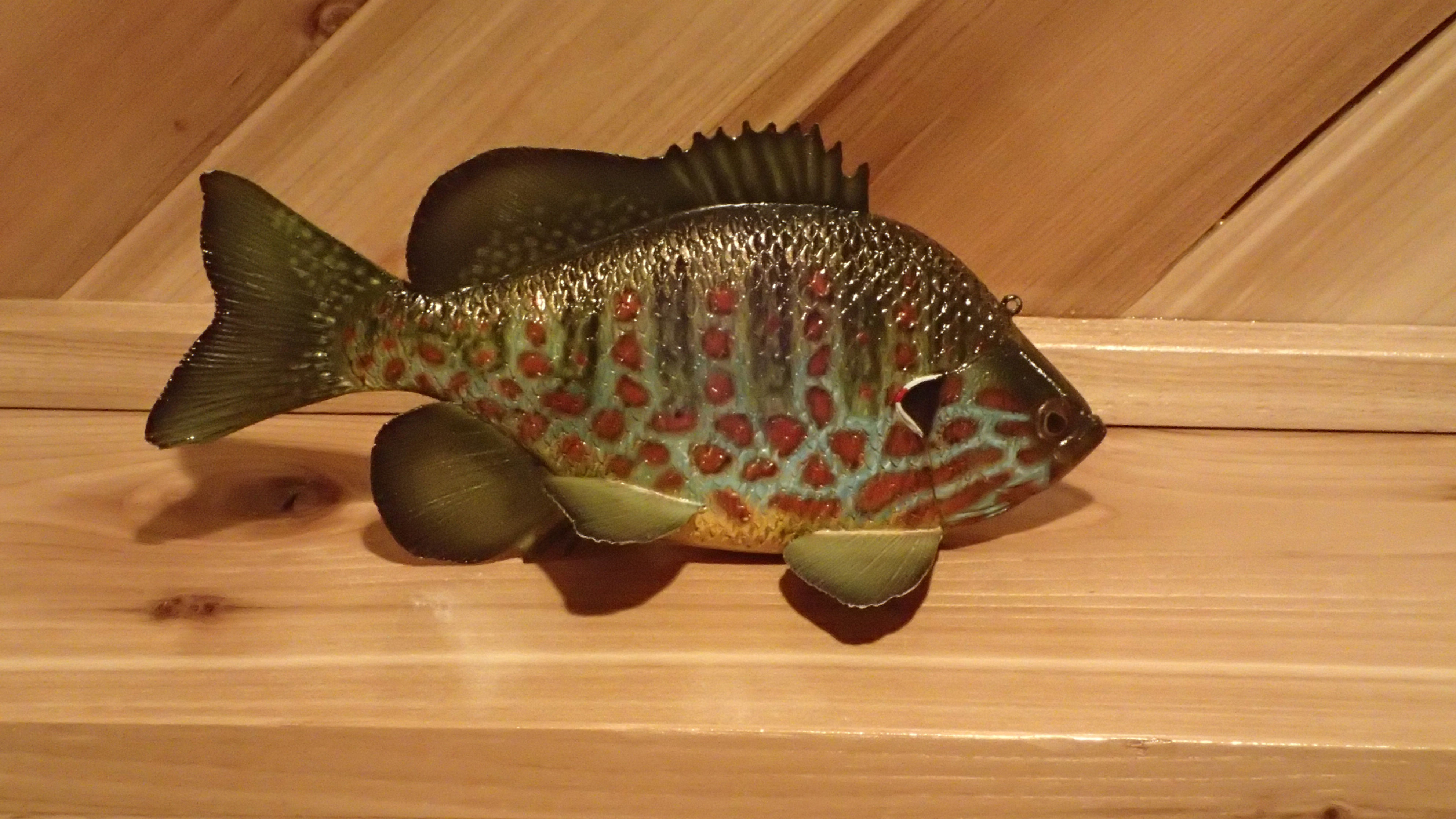 Pumpkinseed Sunfish