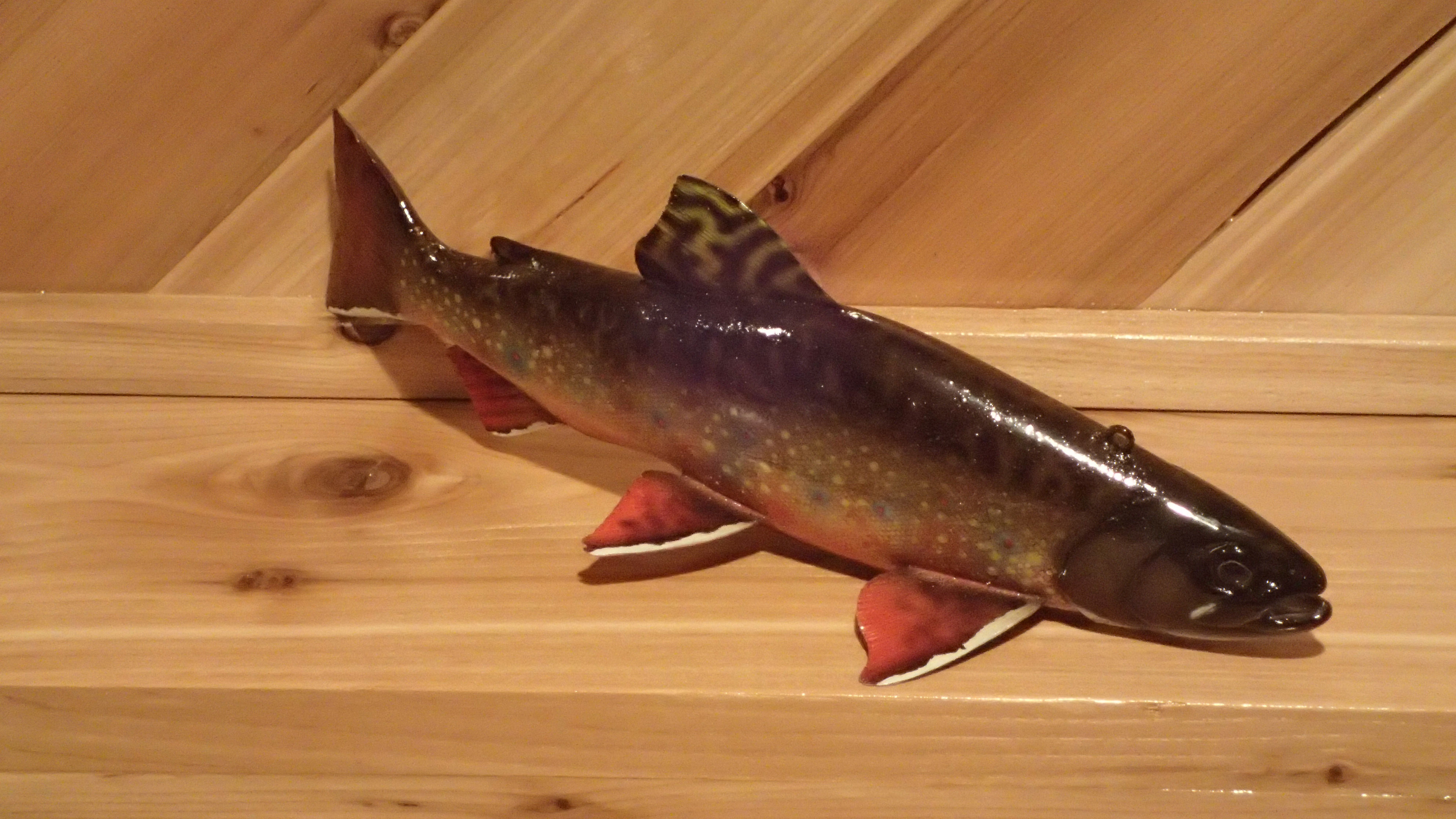 Brook Trout