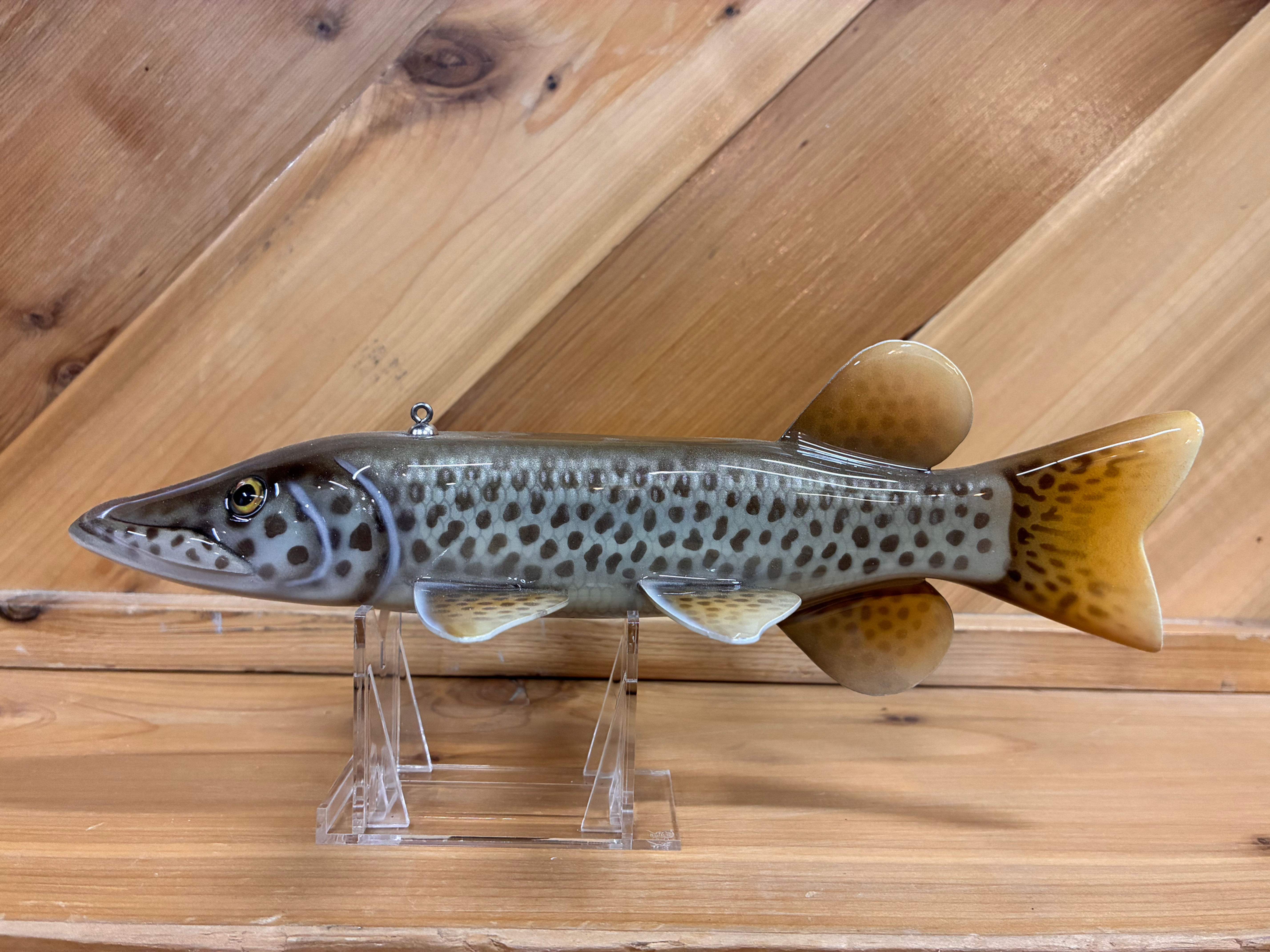 Spotted Muskie