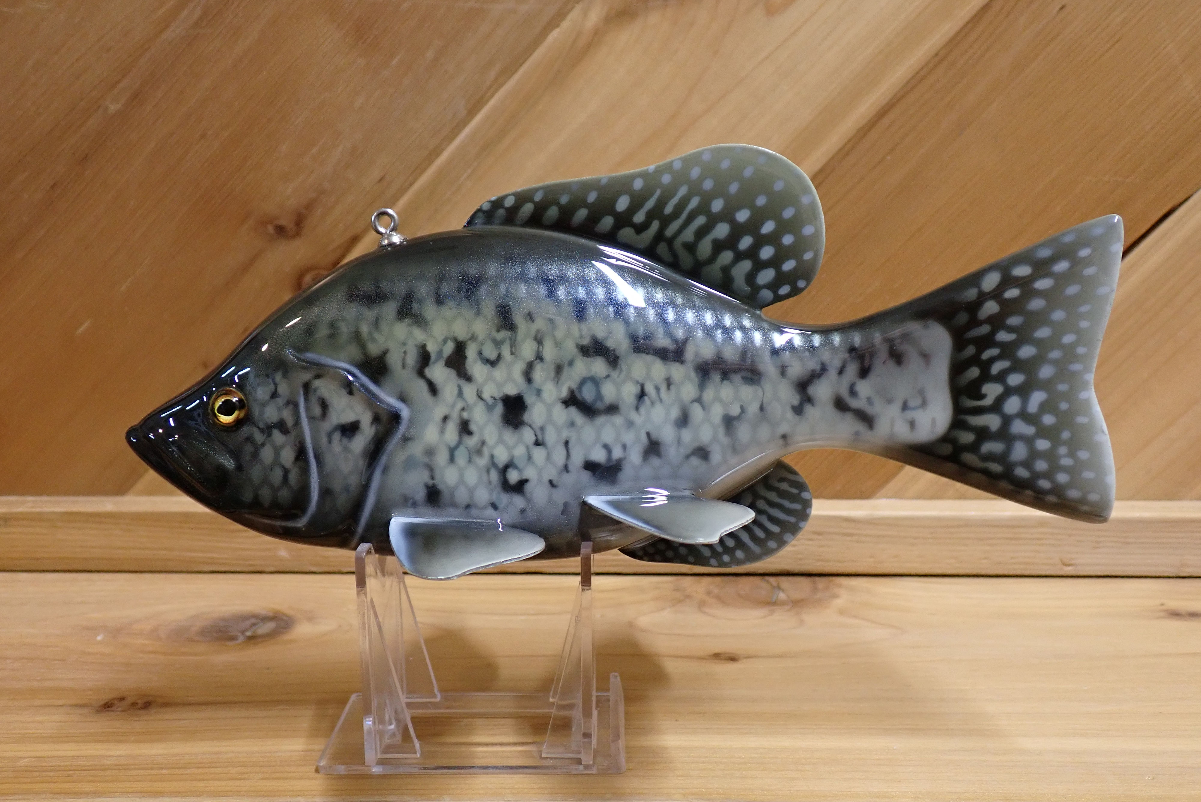 Dark Spawning Black Crappie