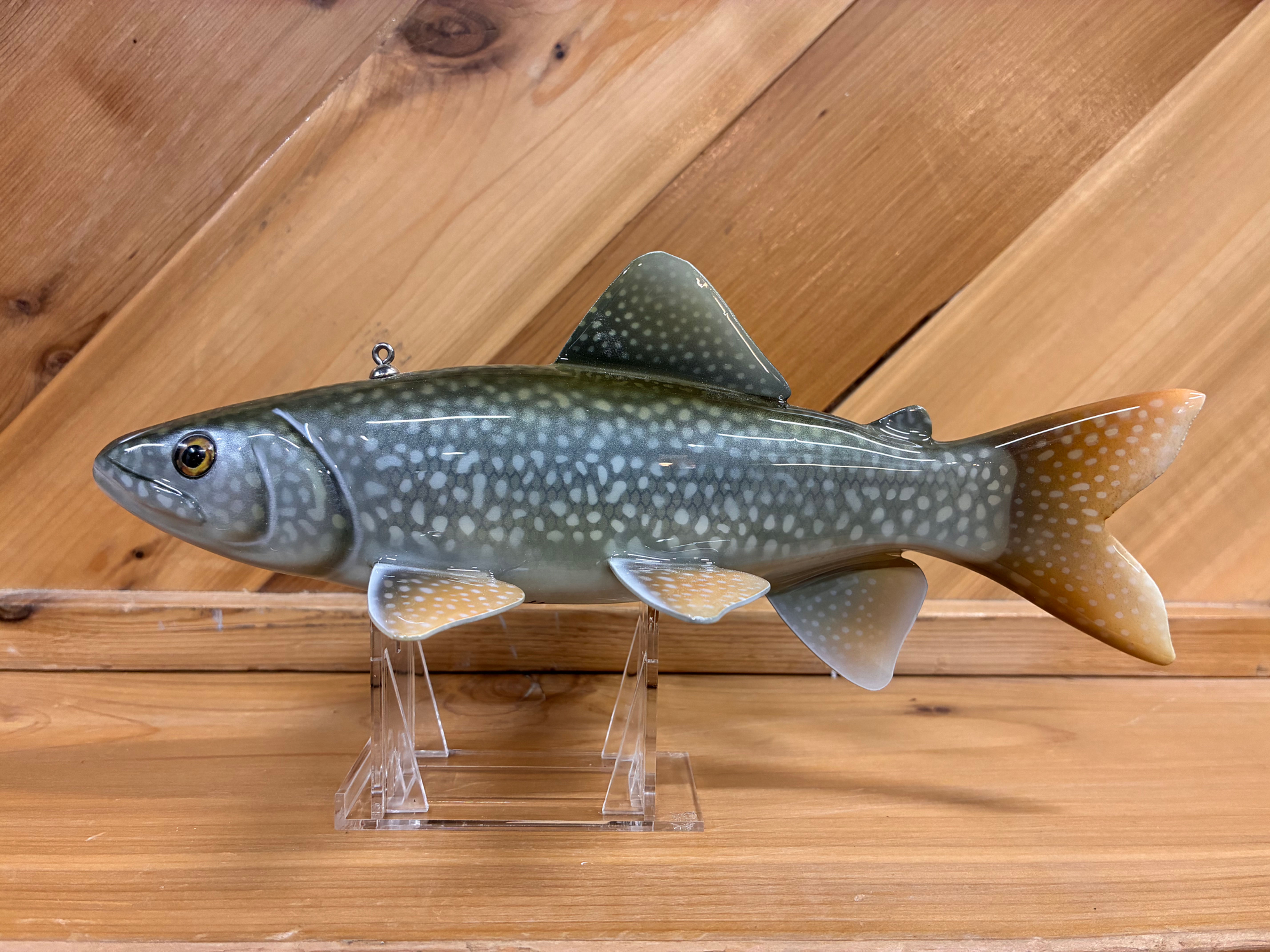 Lake Trout