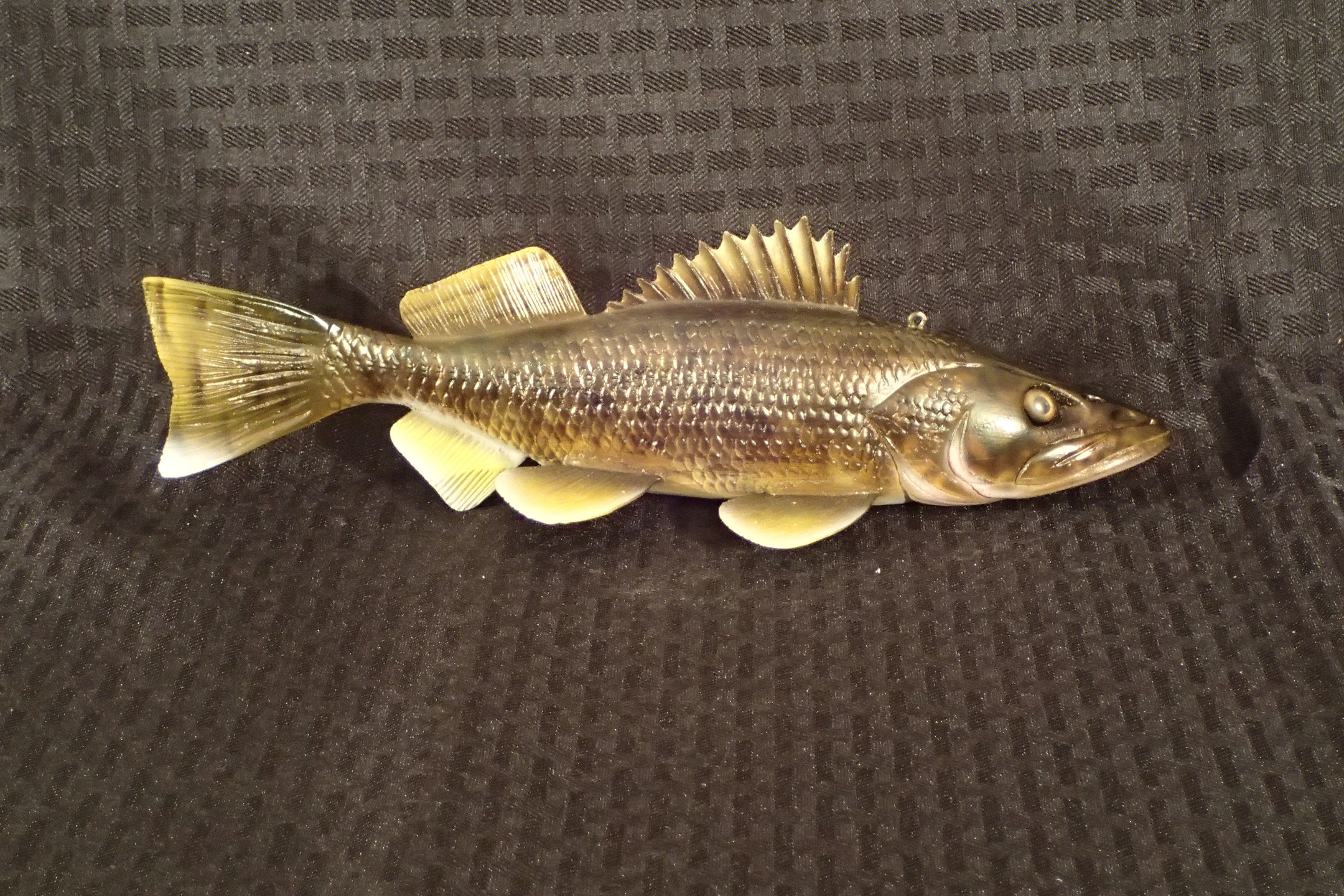 Walleye