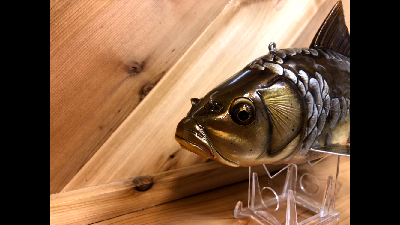 Mirror Carp wallacedecoys
