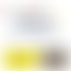 Finのイベントの様子♪(土曜日・たいけん)