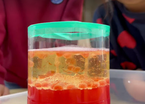 FinのPedagogyについて