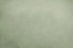 Fresh_and_Simple_Green_Texture_Photography_Background_Abstract_Portrait_backdrop_IBD-19777