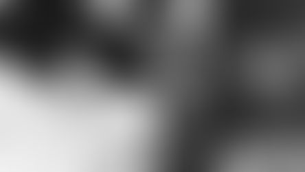 Boekverbranding in Berlijn: Een Duistere Geschiedenis