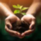 Environmental Compliance.webp