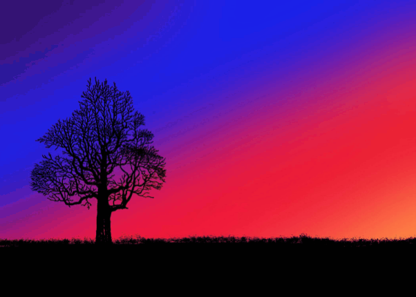 Creative Sunset gif.gif