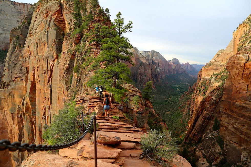 Angels_landing_Zion_park (9)