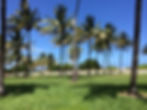 Miami (5)