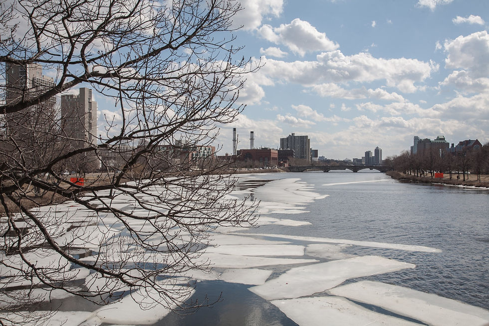 Boston (1)