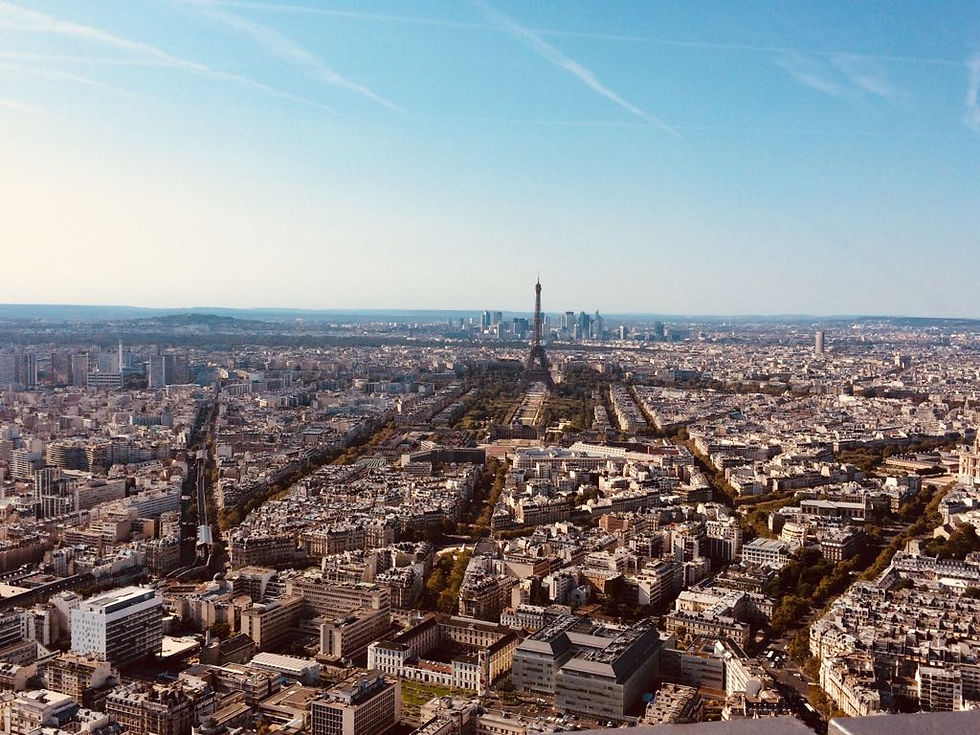 Paris view