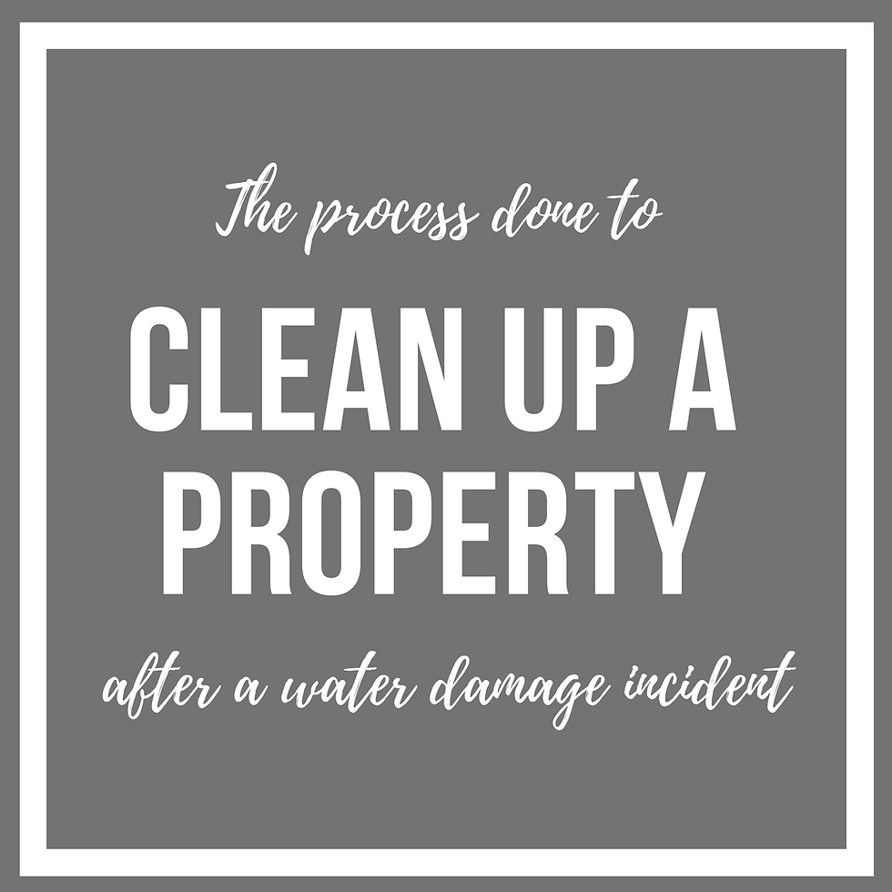 the-process-done-to-clean-up-a-property-after-a-water-damage-incident