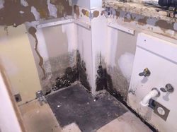 Reel-Contractors-Badroom-Wall-Black-Mold-Pembroke-Pines-Fl-Company