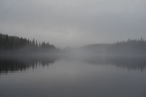 Foggy lake V