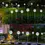 Thumbnail: Holiday Lighting Outdoor Dandelion Solar Garden Lights