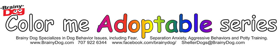 Color me adoptable image.jpg