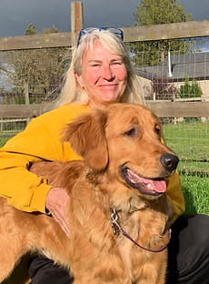 Sherry Clark dog trainer wearing a yellow sweater sits in a green grassy area with a happy Golden Retriever. A vibrant rainbow arches across the cloudy sky above a fenced outdoor space, adding a magical touch to the scene