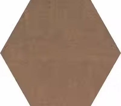 Carrelage de Sol Hexagonal en Terre Cuite Matte