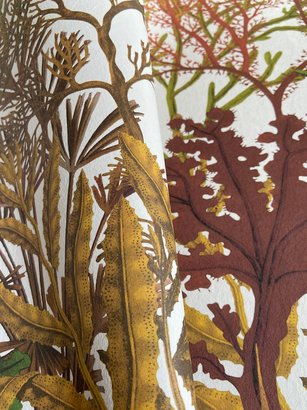 Miniatura: Twiggy -Forest