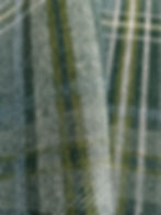 Thumbnail: Clash of the Tartans - Bracken