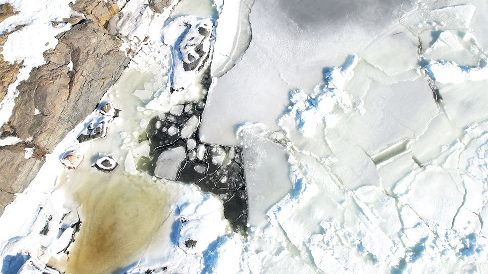 SeaSportin hydrokopteriretket vievät sinut saaristoon silloin, kun perinteiset veneet eivät enää kulje ja jää estää liikkumisen.