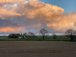 View from garden