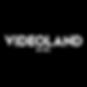 Videoland logo.png