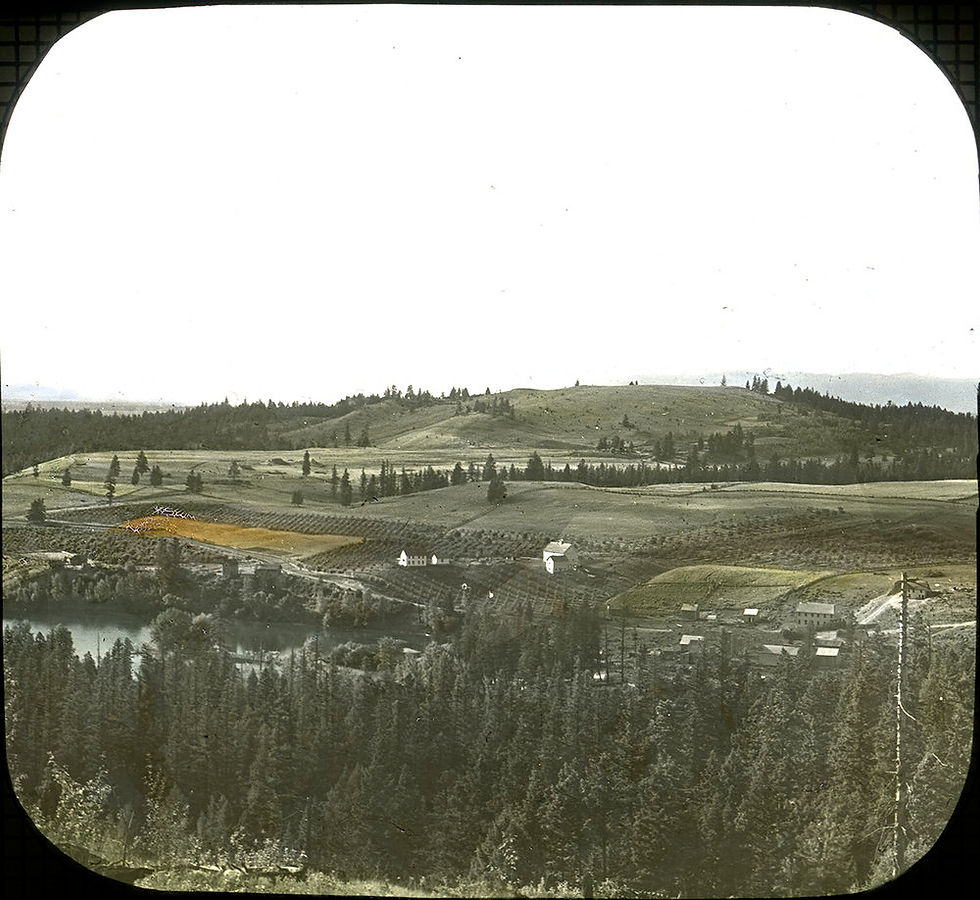 early photograph showing rolling hills with an apple orchard and white farmhouse