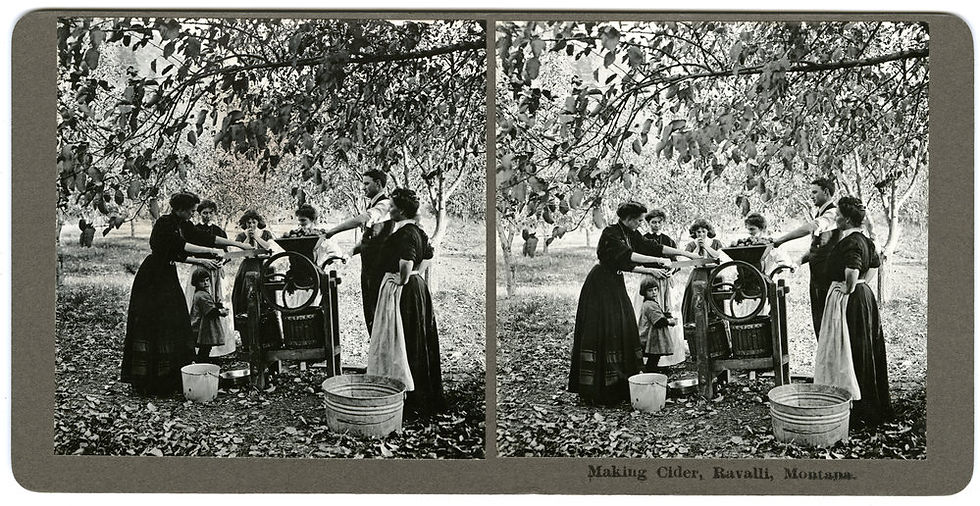 black and white photo showing a family in an orchard making apple cider with a mechanical press