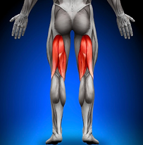 Screen Shot 2020-11-18 at 11.58.50 am.pn