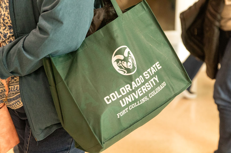 csu-bag_JA
