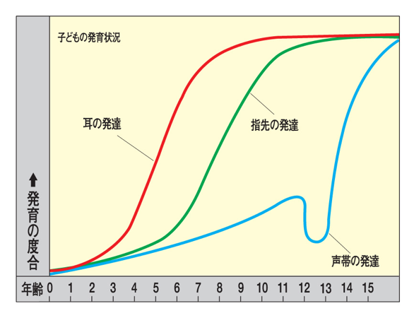 耳の発達.png