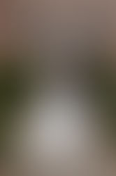 Wer ist noch auf der Suche nach einer tollen und flexiblen Fotografin? Meldet euch einfach bei mir!