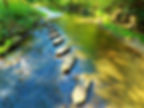 AdobeStock_171592625.jpeg