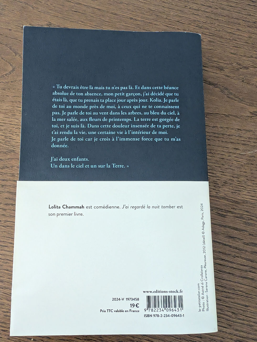 Miniature : Livre  "J'ai regardé la nuit tomber"