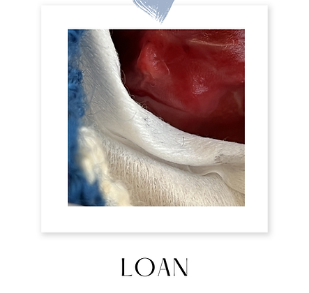image0.png