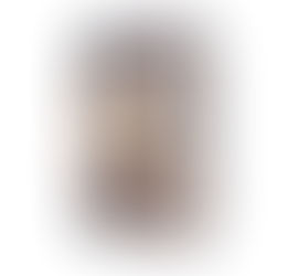 LauhaMudgar || লৌহমুদ্গর || Tushar Kanti Bhattacharya