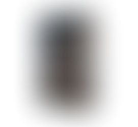 Shikore Rakter Daag || শিকড়ে রক্তের দাগ || Indira Das