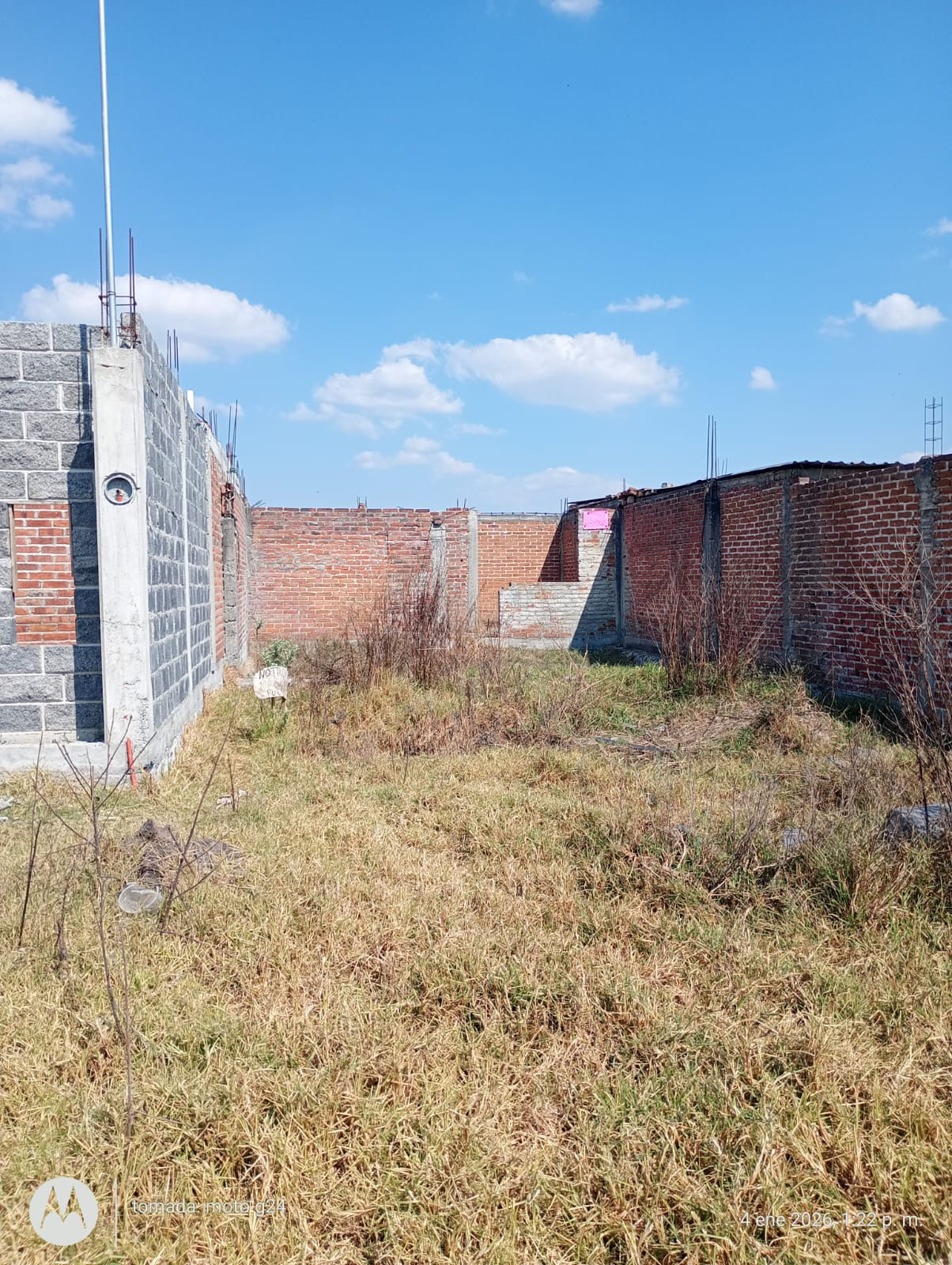 ✨🌳TERRENO EN VENTA EN COL.WENCESLAO VICTORIA (ZACAPU) ✨🌳