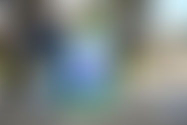 Magallanes Elige Vidrio: 1 millón de envases reciclados