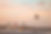 IMG_4835.jpeg
