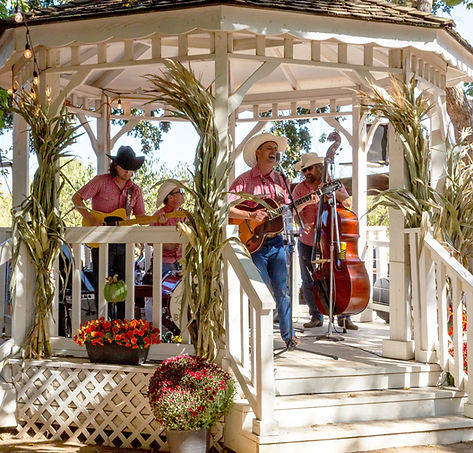 BrushfiresGazebo.jpg