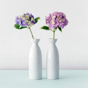duo-hortensias-scaled-ozbn6izp5b8eov3yyphdyk4n4o5za70erwftts6mq0-300x300.jpg