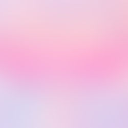 女性視点が生むデザインの魔法 クリエイティブラビットの魅力とは