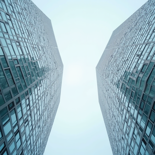 女性視点が生むデザインの魔法 クリエイティブラビットの魅力とは