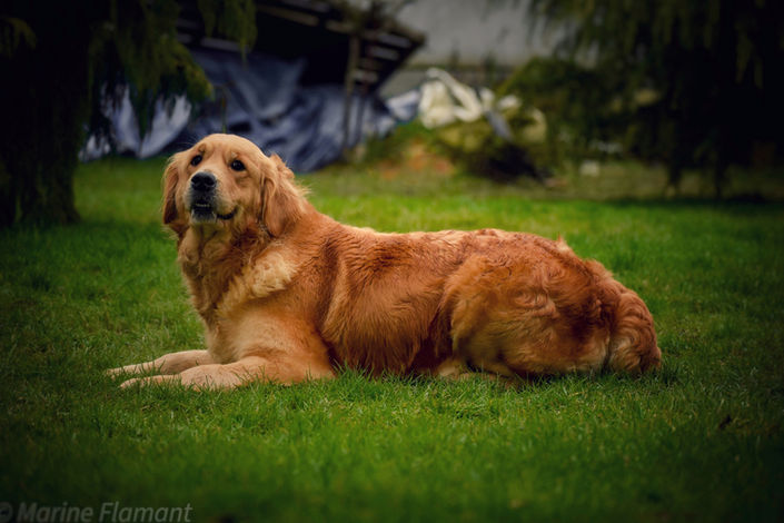 _DSC0013-01-01.jpeg