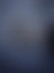 NISHIKAWA MIHO & ONOE KOTA 展