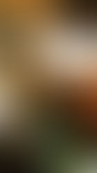 10 Diabetes-Friendly Holiday Recipes
